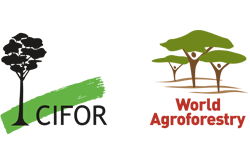 cifor